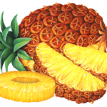 Whole pineapple with two cut slices and one cut pineapple ring