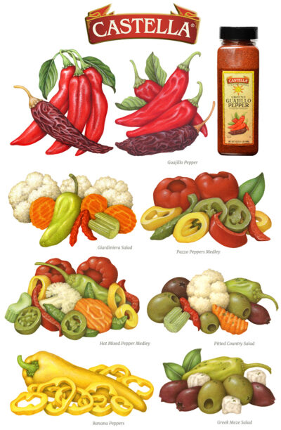 Six illustrations of vegetables including guajillo peppers, and various vegetable salad mixtures.