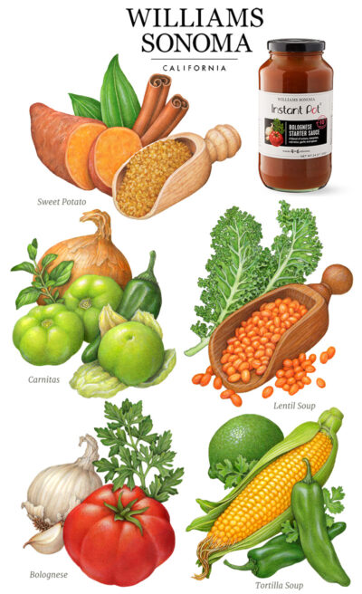 Five vegetable illustrations used for Williams Sonoma packaging.