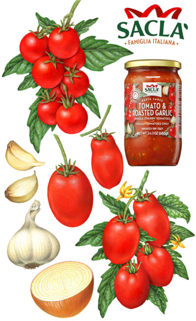 Tomato and garlic illustrations used for Sacla packaging.