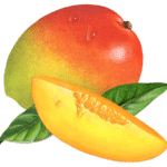 Whole mango with a mango slice.