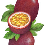 Two whole passion fruits with a cut passion fruit half and leaves