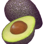 One whole ripe avocado with a cut half.