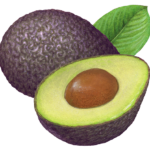 One whole ripe black avocado and a cut half with a leaf.