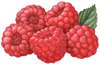 Five raspberries with a leaf.